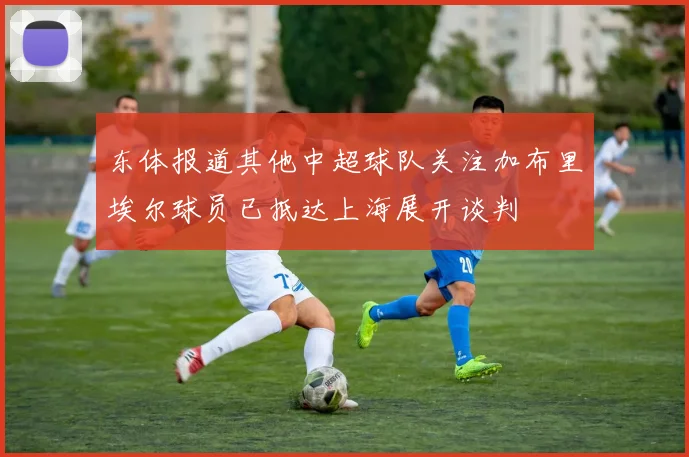 东体报道其他中超球队关注加布里埃尔球员已抵达上海展开谈判