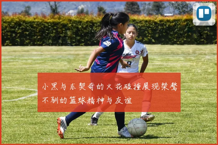 小黑与东契奇的火花碰撞展现桀骜不驯的篮球精神与友谊
