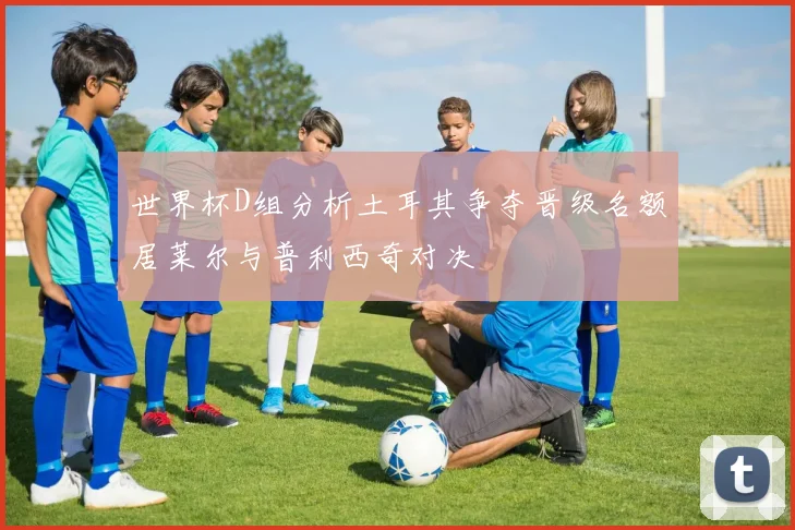 世界杯D组分析土耳其争夺晋级名额居莱尔与普利西奇对决