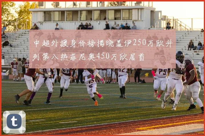 中超外援身价榜揭晓盖伊250万欧并列第八热菲尼奥450万欧居首