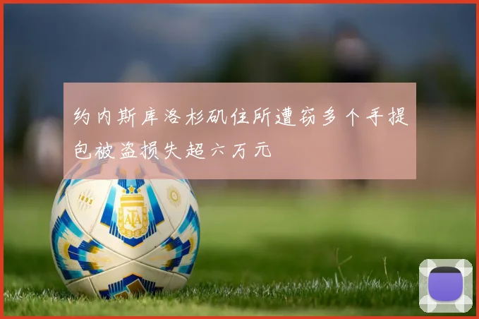 约内斯库洛杉矶住所遭窃多个手提包被盗损失超六万元