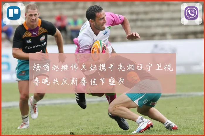 杨鸣赵继伟夫妇携手亮相辽宁卫视春晚共庆新春佳节盛典