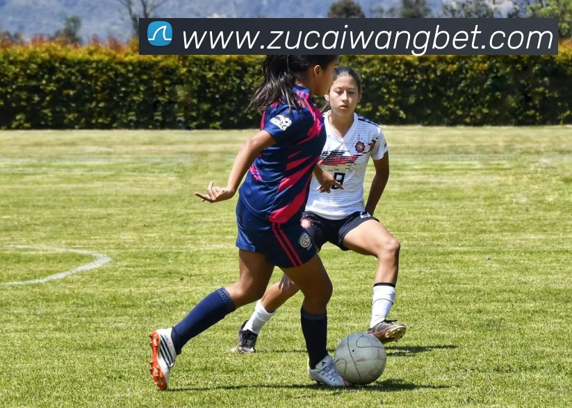 足彩网发展历程